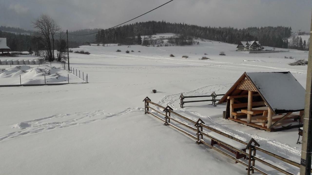 Willa Nad Potokiem Białka Tatrzańska Exterior foto