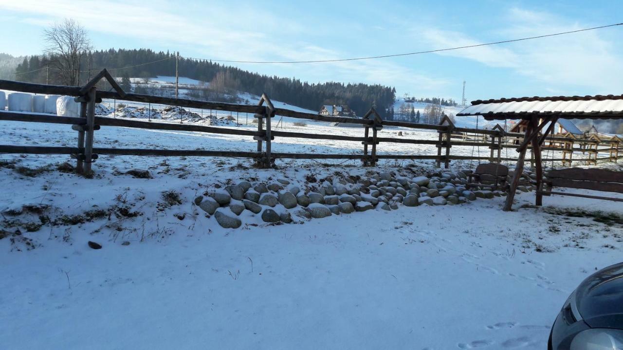 Willa Nad Potokiem Białka Tatrzańska Exterior foto